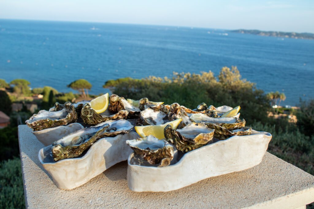 Stuk van daan - Oesterschaal