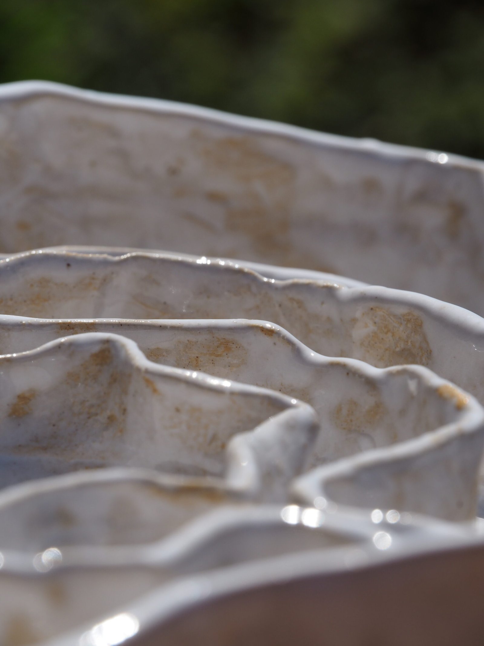 Oesterschaal L - Afbeelding 4