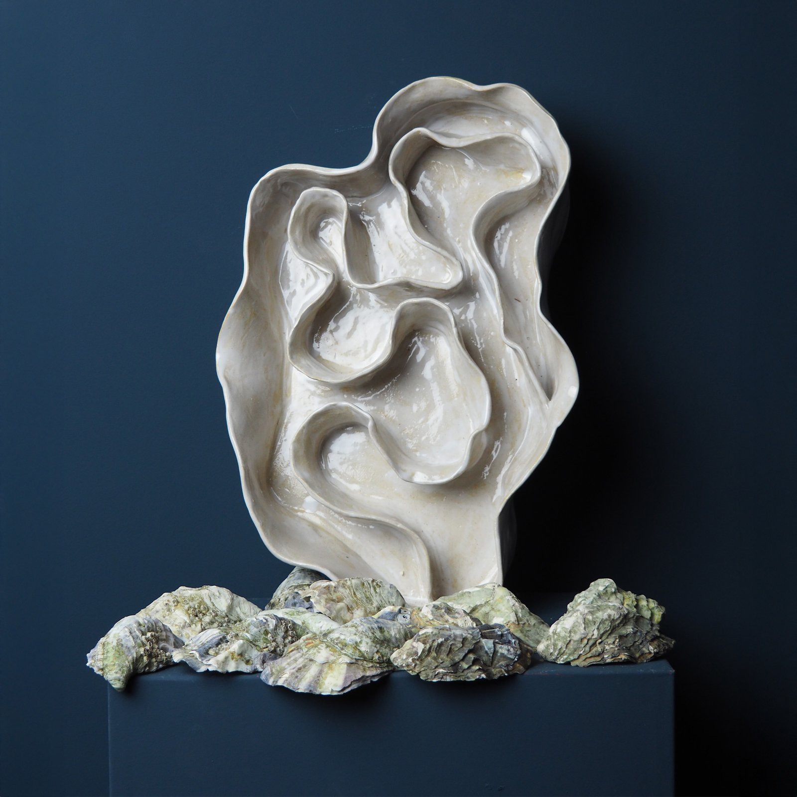 Oesterschaal L - Afbeelding 2