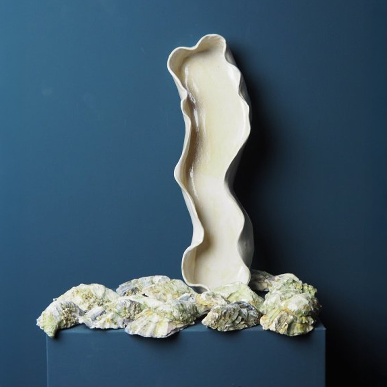 Oesterschaal Langwerpig