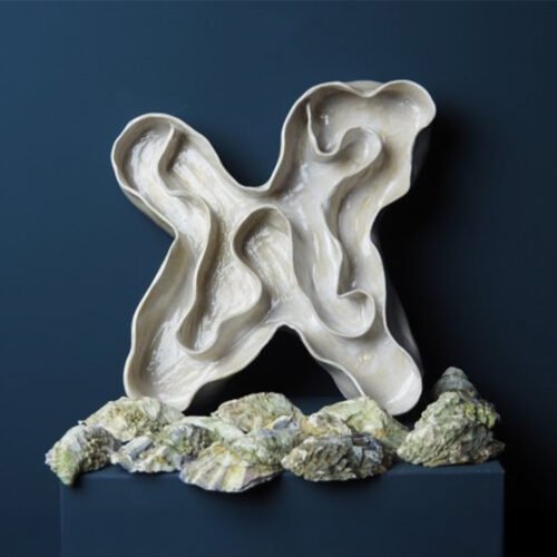 oesterschaal S-1 Oesterschaal M